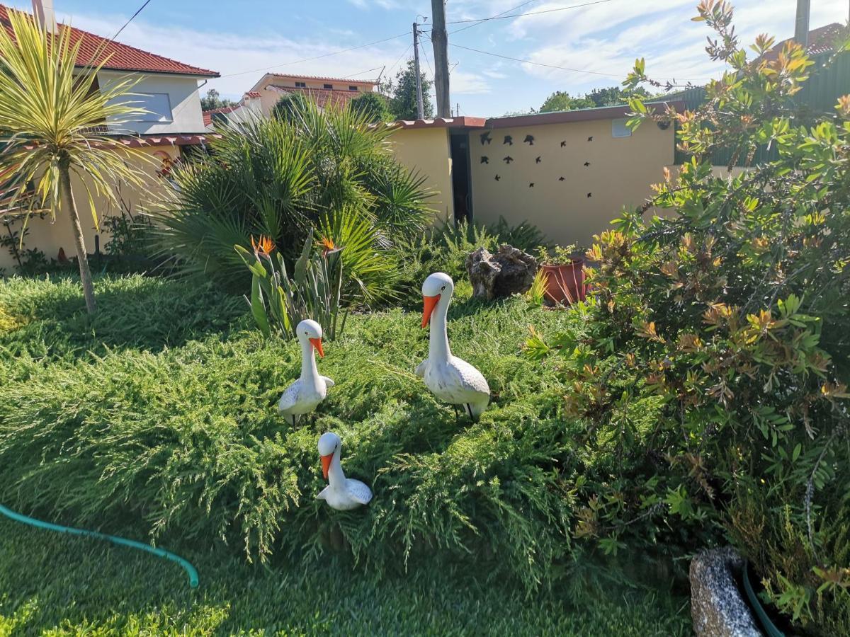 Casa Flor Da Laranjeira Guest House Понте де Лима Екстериор снимка